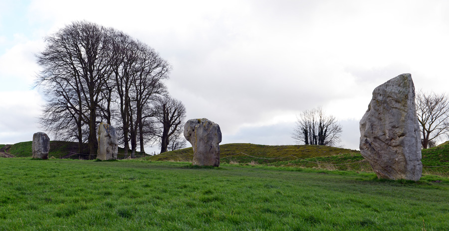 Shearing Enterprises - Anthony Lanes Blog