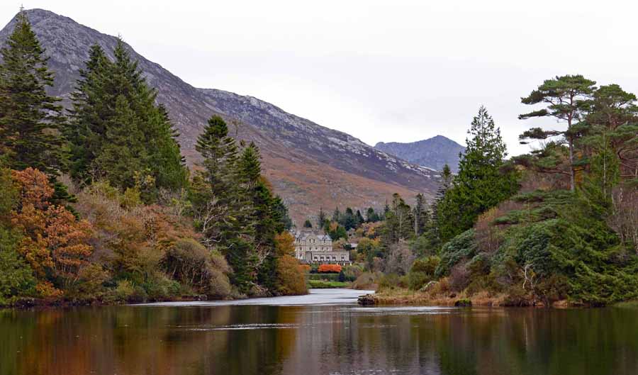 Shearing Enterprises - Anthony Lanes Blog