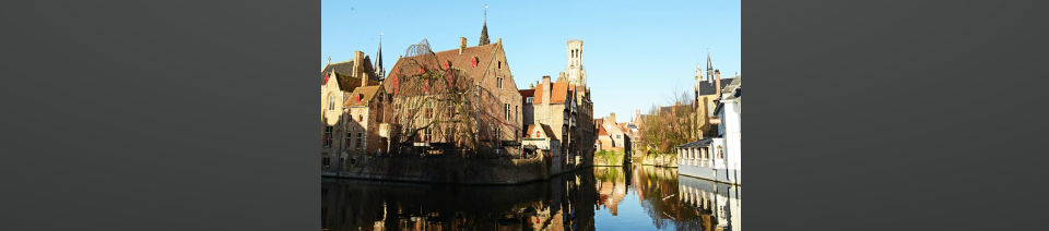 Shearing Enterprises - Anthony Lanes Blog