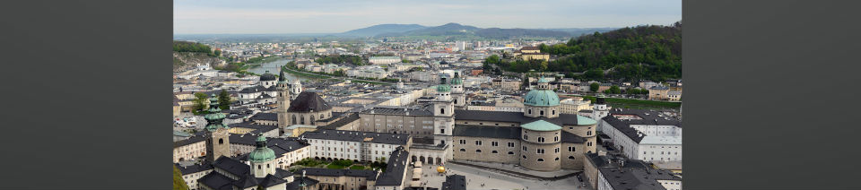 Shearing Enterprises - Anthony Lanes Blog