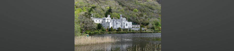 Shearing Enterprises - Anthony Lanes Blog