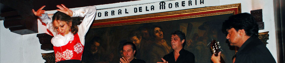 Shearing Enterprises - Anthony Lanes Blog