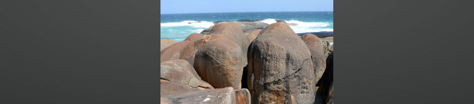 Shearing Enterprises - Anthony Lanes Blog