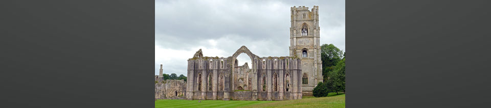 Shearing Enterprises - Anthony Lanes Blog