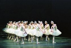 Swan_Lake_4.jpg