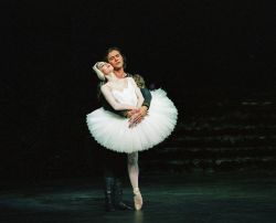 Swan_Lake_2.jpg