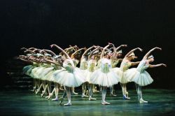Swan_Lake_6.jpg
